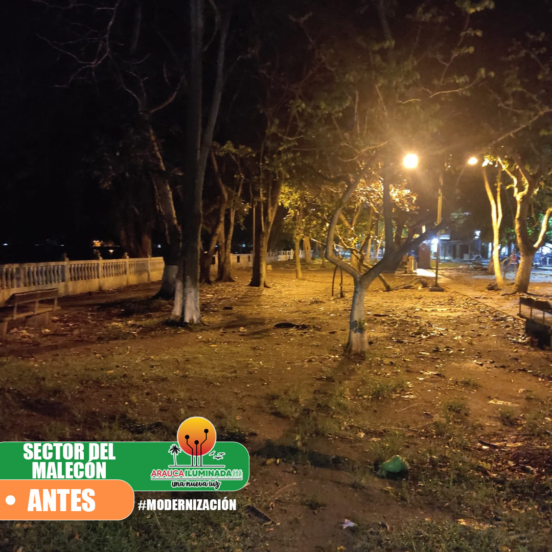 IMAGÉN