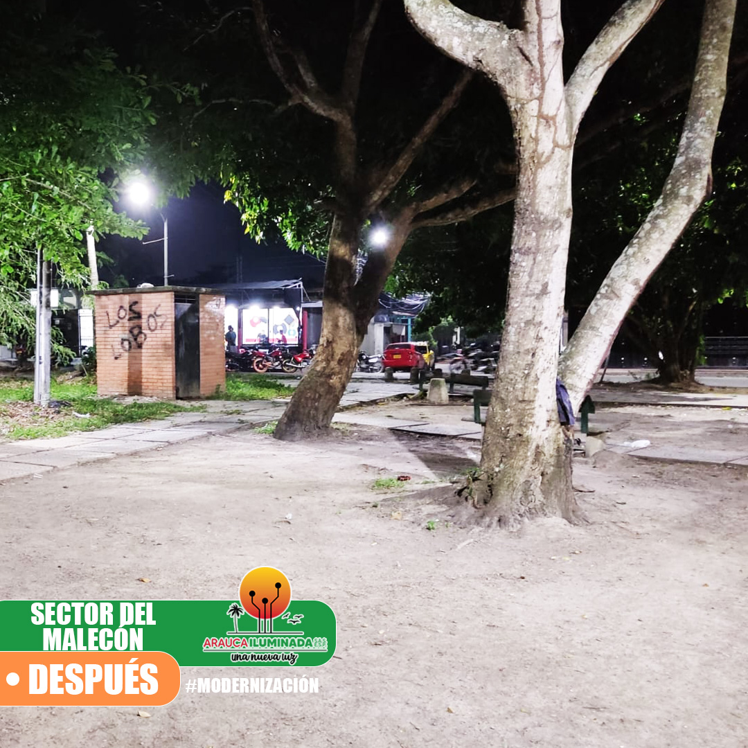 IMAGÉN