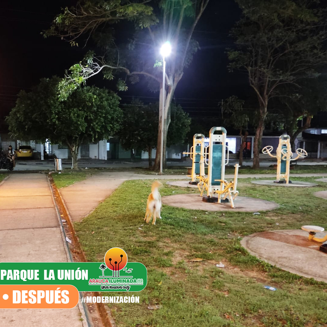 IMAGÉN