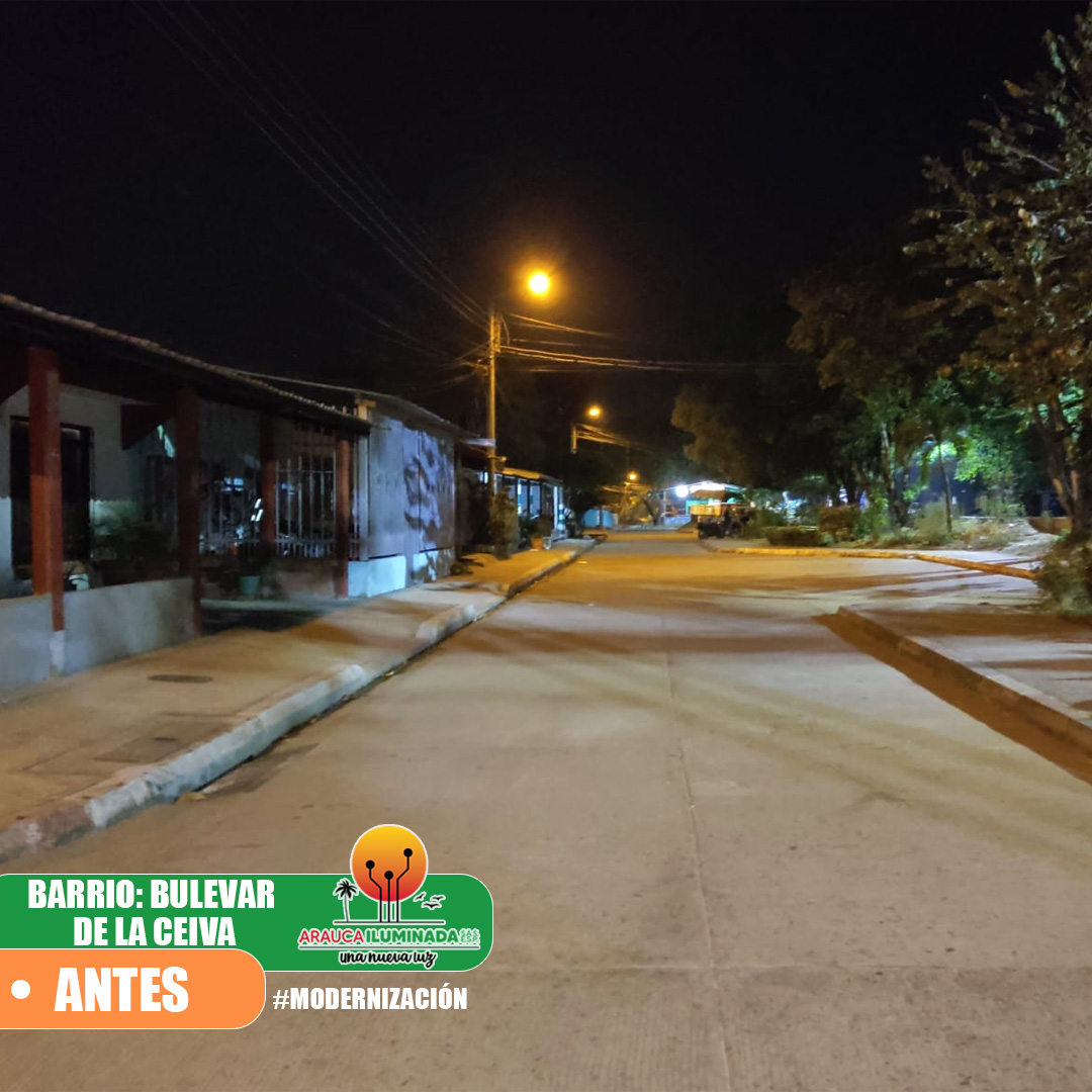 imagen 6