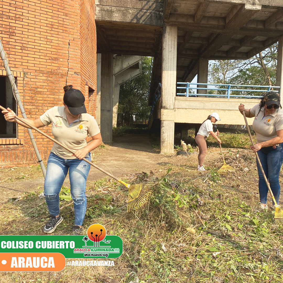 IMAGEN
