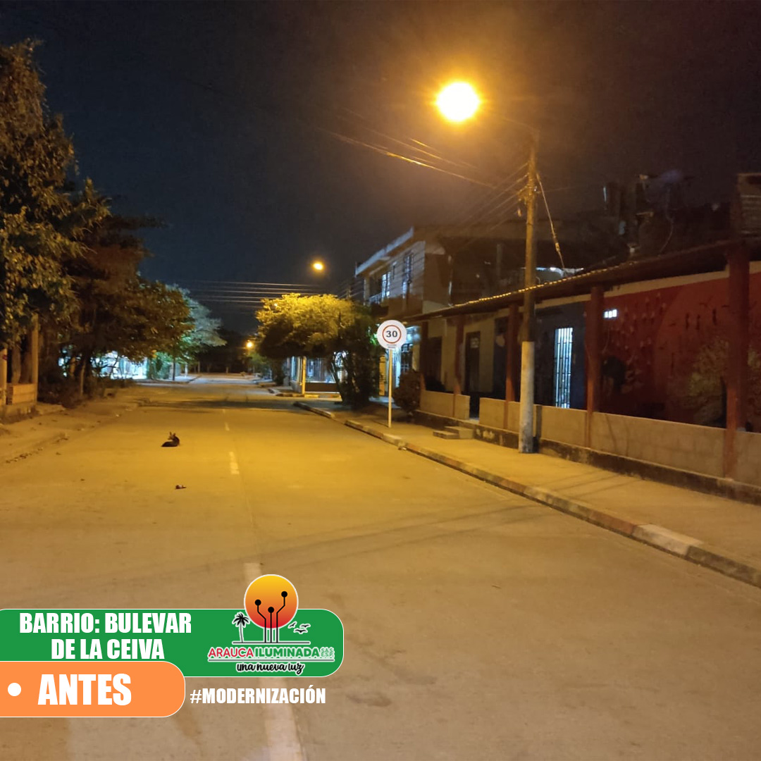 imagen 8